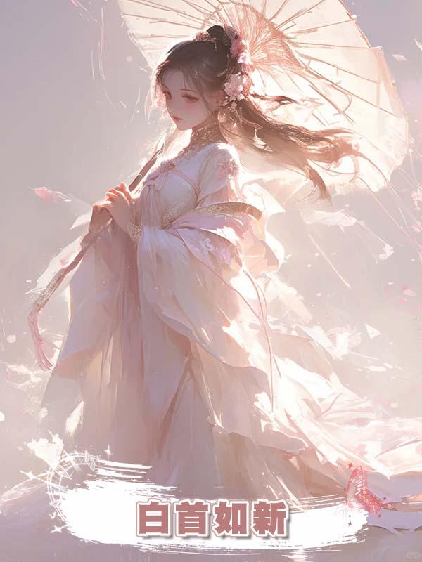 白首如新