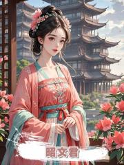 昭文君