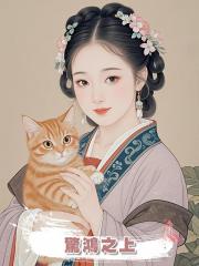 驚鴻之上